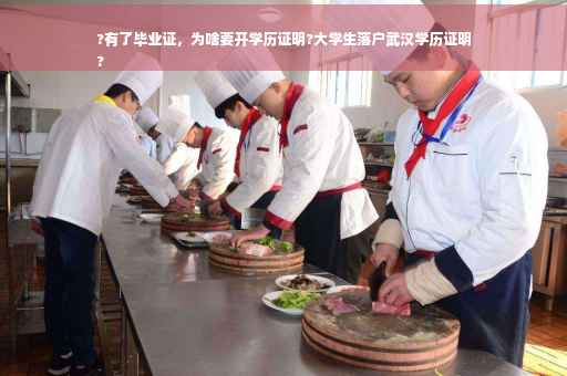 ?有了毕业证，为啥要开学历证明?大学生落户武汉学历证明
?