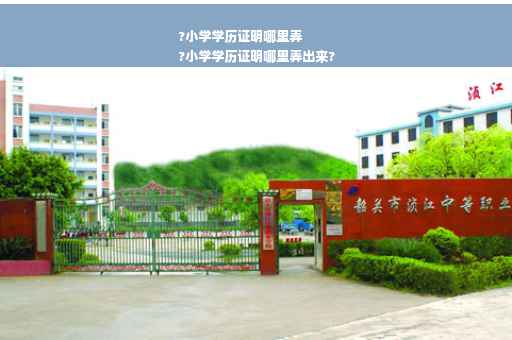 ?小学学历证明哪里弄
?小学学历证明哪里弄出来?