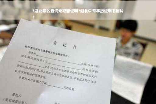 ?湖北怎么查询无犯罪证明?湖北中专学历证明书图片
?