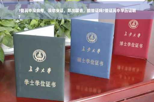 ?我高中没会考，没毕业证，想出国去，能签证吗?签证高中学历证明
?