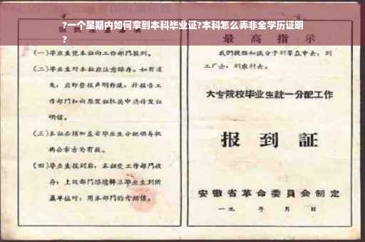 ?一个星期内如何拿到本科毕业证?本科怎么弄非全学历证明
?