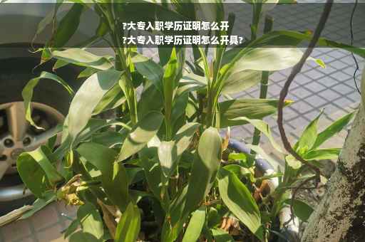 ?大专入职学历证明怎么开
?大专入职学历证明怎么开具?