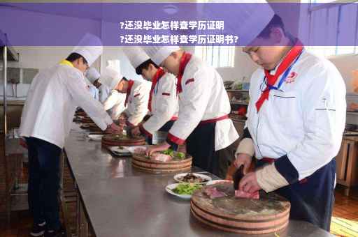 ?还没毕业怎样查学历证明
?还没毕业怎样查学历证明书?