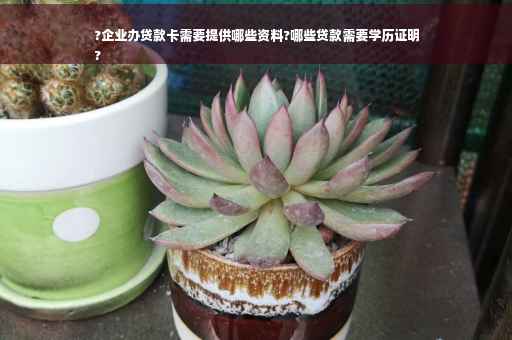 ?企业办贷款卡需要提供哪些资料?哪些贷款需要学历证明
?