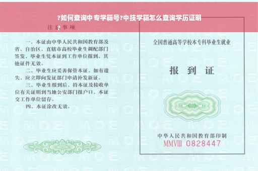 ?如何查询中专学籍号?中技学籍怎么查询学历证明
?