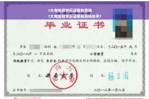 ?大专统招学历证明有用吗
?大专统招学历证明有用吗知乎?