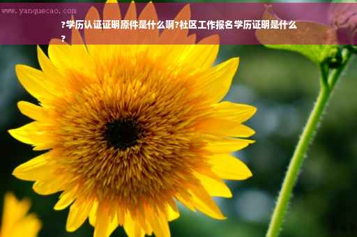 ?学历认证证明原件是什么啊?社区工作报名学历证明是什么
?