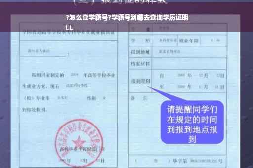 ?怎么查学籍号?学籍号到哪去查询学历证明
⚡️