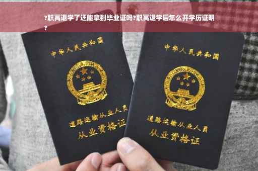 ?职高退学了还能拿到毕业证吗?职高退学后怎么开学历证明
?