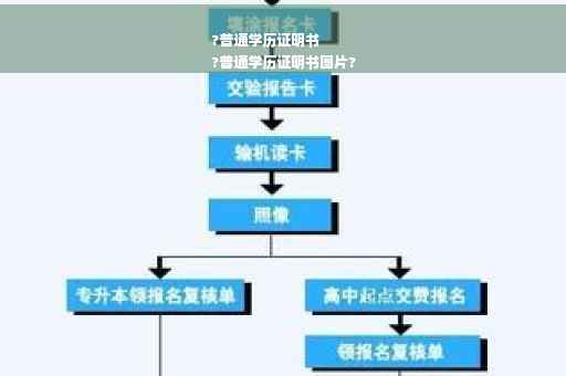 ?普通学历证明书
?普通学历证明书图片?