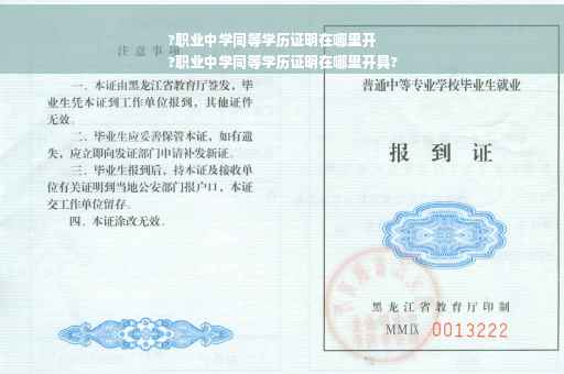 ?职业中学同等学历证明在哪里开
?职业中学同等学历证明在哪里开具?