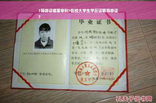 ?导游证哪里审批?在校大学生学历证明导游证
?