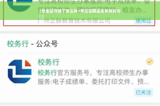 ?毕业证书掉了怎么补?学历证明丢失怎样补办
⚡️