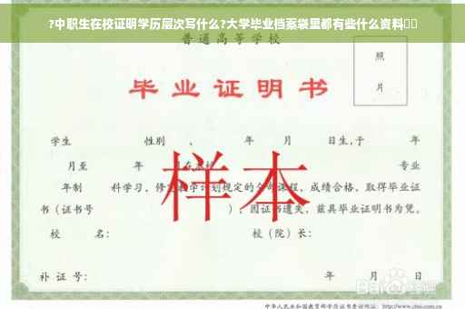 ?中职生在校证明学历层次写什么?大学毕业档案袋里都有些什么资料⚡️