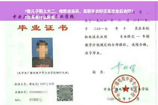 ?我儿子刚上大二，他想去当兵，是明年去好还是毕业后去好？
?当兵有什么好处⚡️