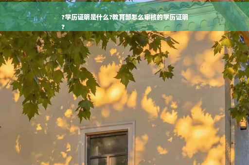 ?学历证明是什么?教育部怎么审核的学历证明
?