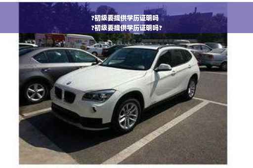 ?初级要提供学历证明吗
?初级要提供学历证明吗?