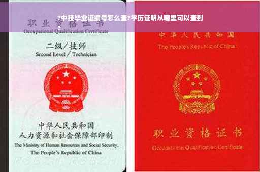 ?中技毕业证编号怎么查?学历证明从哪里可以查到
?