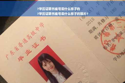 ?学历证明书编号是什么样子的
?学历证明书编号是什么样子的图片?