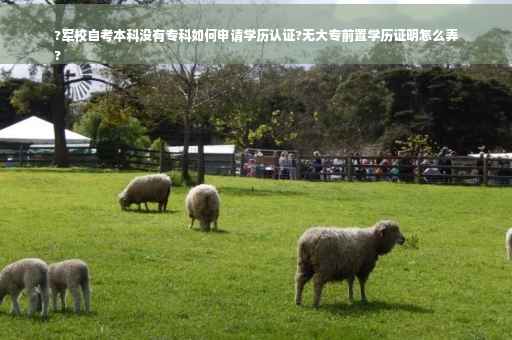 ?军校自考本科没有专科如何申请学历认证?无大专前置学历证明怎么弄
?