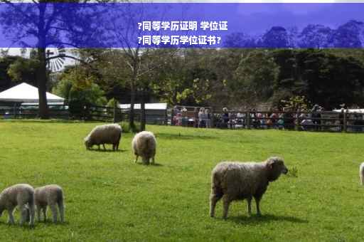 ?同等学历证明 学位证
?同等学历学位证书?