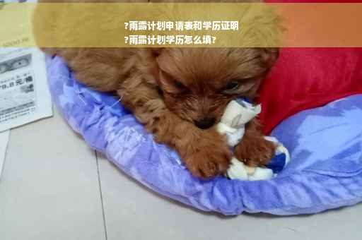 ?雨露计划申请表和学历证明
?雨露计划学历怎么填?