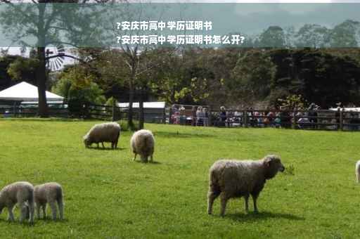 ?安庆市高中学历证明书
?安庆市高中学历证明书怎么开?