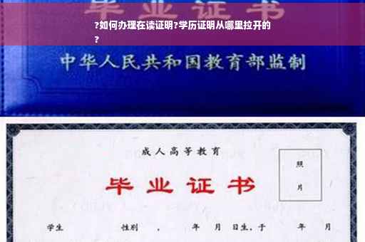 ?如何办理在读证明?学历证明从哪里拉开的
?