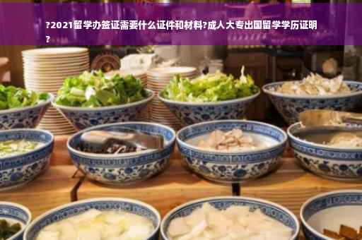 ?2021留学办签证需要什么证件和材料?成人大专出国留学学历证明
?