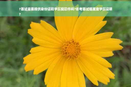 ?面试需要提供身份证和学历复印件吗?省考面试哪里查学历证明
?