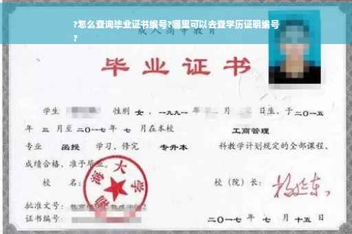 ?怎么查询毕业证书编号?哪里可以去查学历证明编号
?