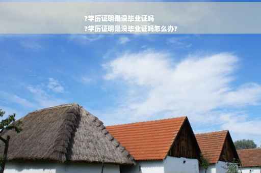 ?学历证明是没毕业证吗
?学历证明是没毕业证吗怎么办?