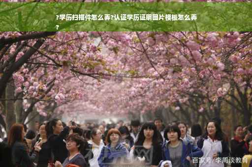 ?学历扫描件怎么弄?认证学历证明图片模板怎么弄
?