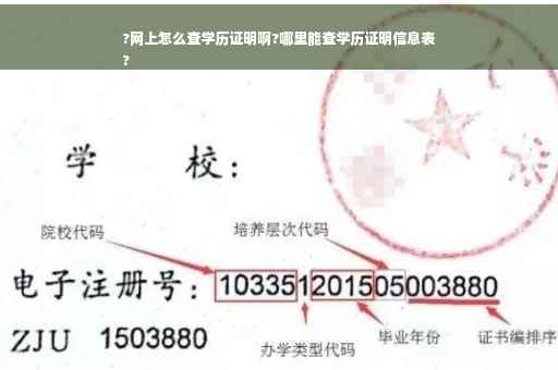 ?网上怎么查学历证明啊?哪里能查学历证明信息表
?