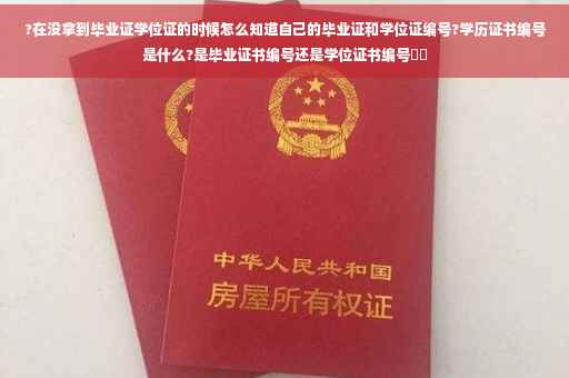 ?在没拿到毕业证学位证的时候怎么知道自己的毕业证和学位证编号?学历证书编号是什么?是毕业证书编号还是学位证书编号⚡️