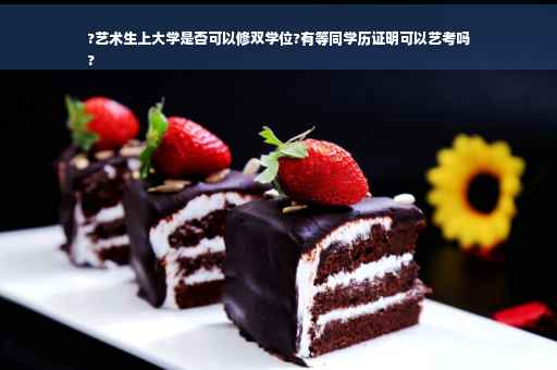 ?艺术生上大学是否可以修双学位?有等同学历证明可以艺考吗
?