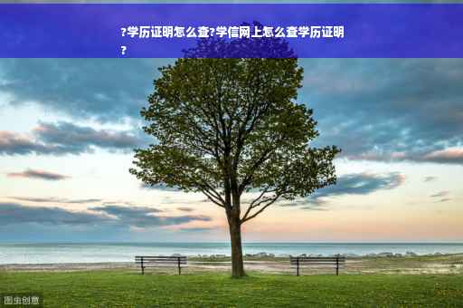 ?学历证明怎么查?学信网上怎么查学历证明
?