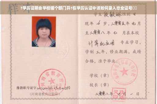 ?学历证明由学校哪个部门开?在学历认证中该如何录入毕业证号⚡️