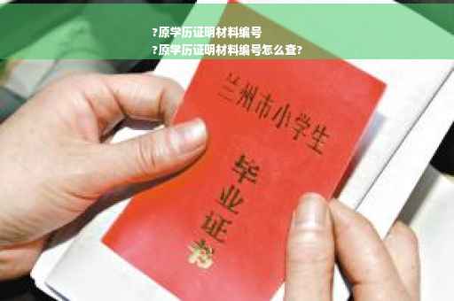 ?原学历证明材料编号
?原学历证明材料编号怎么查?