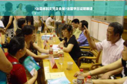 ?法国本科文凭含金量?法国学历证明翻译
?
