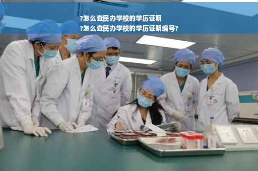?怎么查民办学校的学历证明
?怎么查民办学校的学历证明编号?