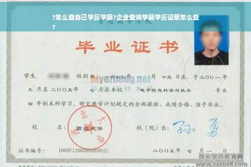 ?怎么查自己学历学籍?企业查询学籍学历证明怎么查
?