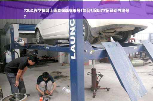 ?怎么在学信网上面查询毕业编号?如何打印出学历证明书编号
?