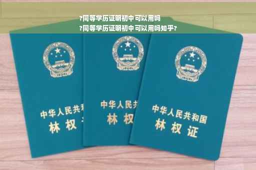 ?同等学历证明初中可以用吗
?同等学历证明初中可以用吗知乎?