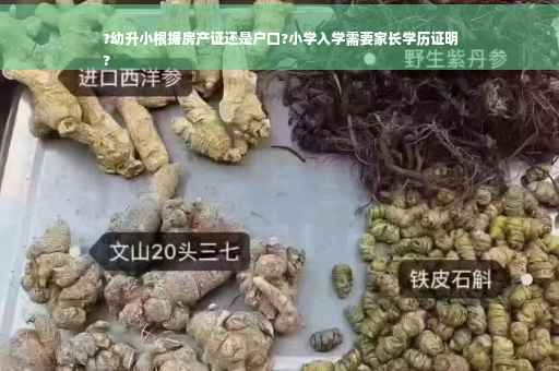 ?幼升小根据房产证还是户口?小学入学需要家长学历证明
?