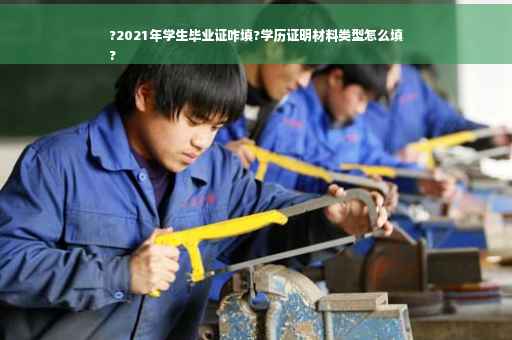 ?2021年学生毕业证咋填?学历证明材料类型怎么填
?