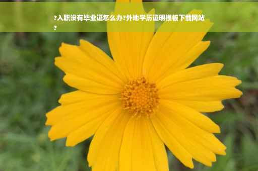 ?入职没有毕业证怎么办?外地学历证明模板下载网站
?