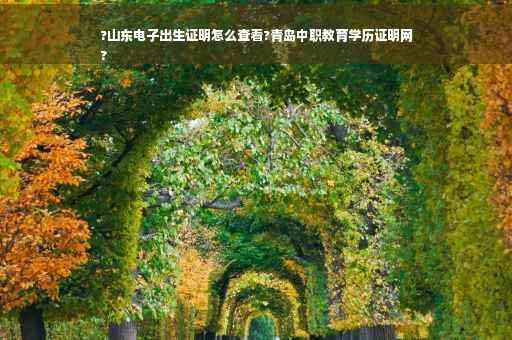 ?山东电子出生证明怎么查看?青岛中职教育学历证明网
?