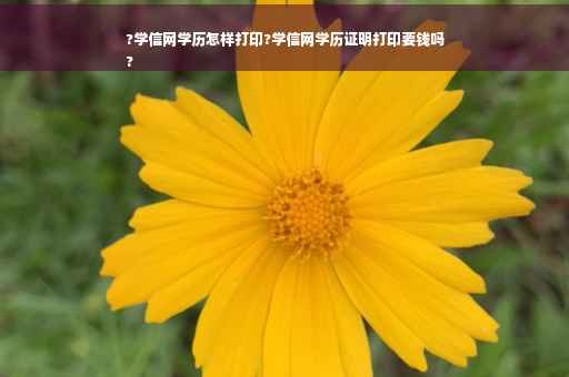 ?学信网学历怎样打印?学信网学历证明打印要钱吗
?