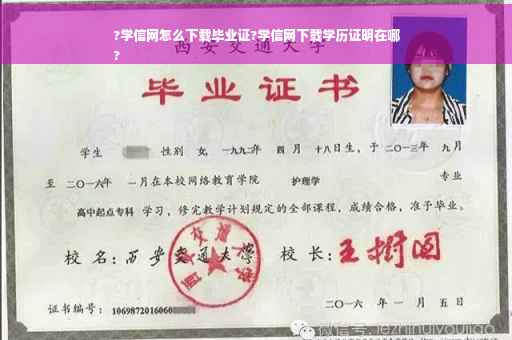?学信网怎么下载毕业证?学信网下载学历证明在哪
?